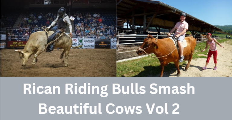 Rican Riding Bulls Smash Beautiful Cows Vol 2