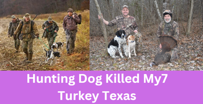 Hunting Dog Killed My7 Turkey Texas