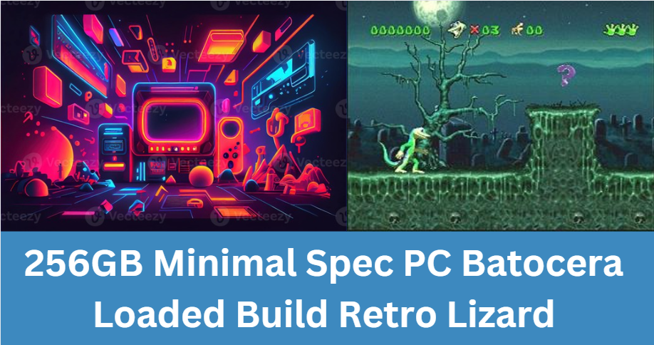 256GB Minimal Spec PC Batocera Loaded Build Retro Lizard