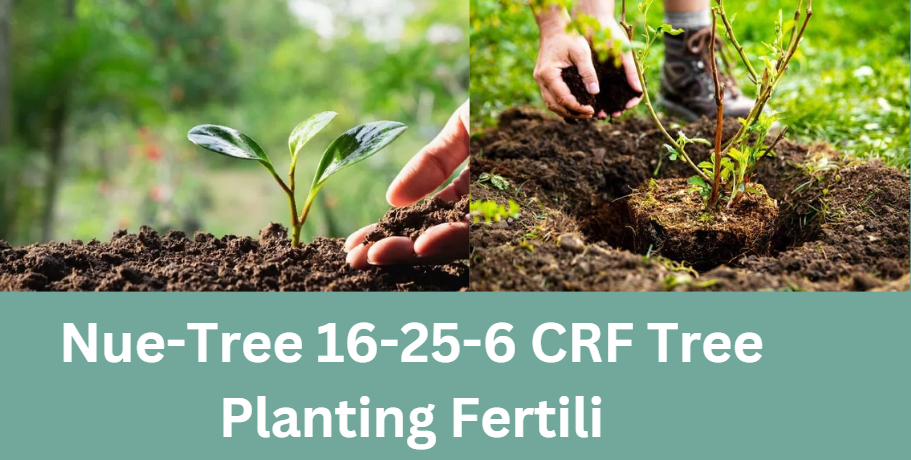 Nue-Tree 16-25-6 CRF Tree Planting Fertili