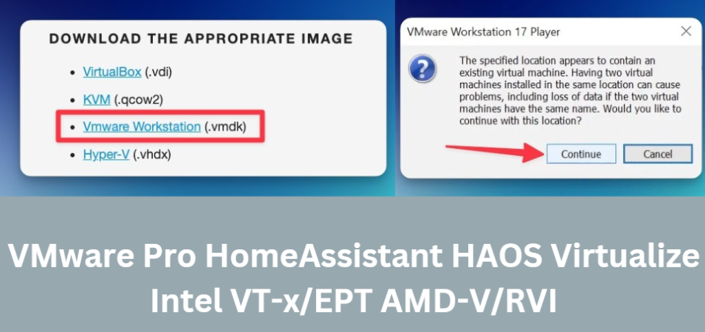 VMware Pro HomeAssistant HAOS Virtualize Intel VT-x/EPT AMD-V/RVI